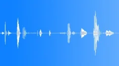 Male laugh 2Sound Effect
