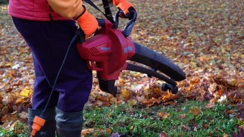 Male with leaf blowing machine rake colorful leaves in garden Stock Footage 125476847