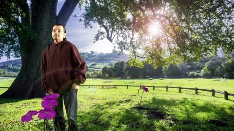 A Male Leisurely Paces Under a Shady Tree thinking purple flowers blowing breeze Stock Footage 237642016