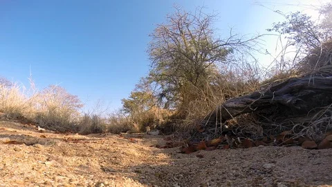 Hidden Camera Stock Videos – Royalty-Free HD & 4K Videos | Pond5