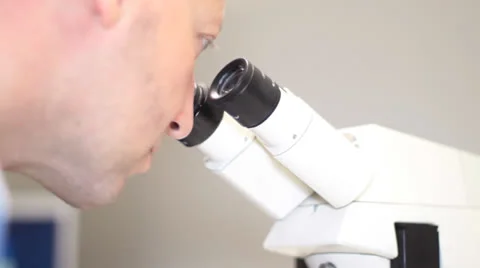 Male - looking in microscope - near Stock Footage 26554228