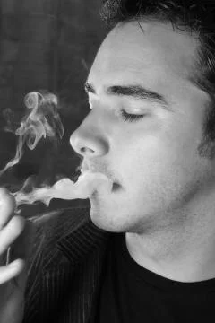 Male Model Stock Photos