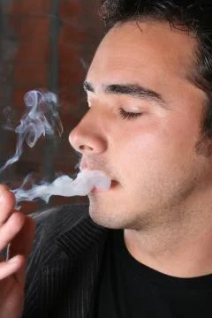 Male Model Stock Photos