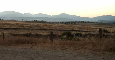 Male mountain biker speeding down a dirt road at sunrise. Motivation and sport Stock Footage 138096659