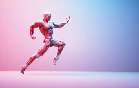 Male muscular system posing on background. Fitness and healthy lifestyle co.. Stock Illustration