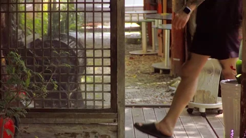 A male pedestrian walking through an open traditional Korean wooden gate in a pe Stock Footage 340579801