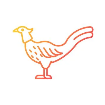 Male pheasant gradient linear vector icon Stock Illustration