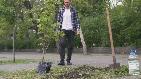 Male plant tree Stock Footage 108401367