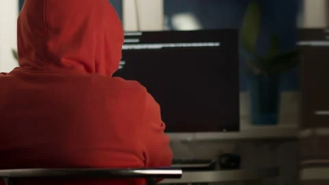 Male programmer working at home on a computer, back view Stock Footage 148876812