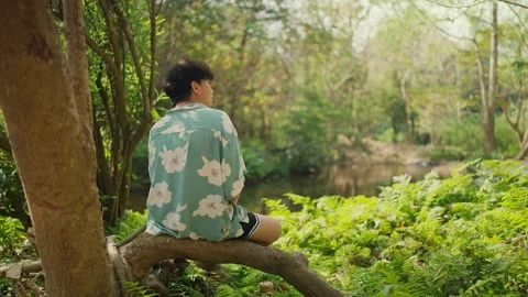 A male resting on a fallen tree trunk, enjoying the serene and lush green forest Stock Footage 301596915