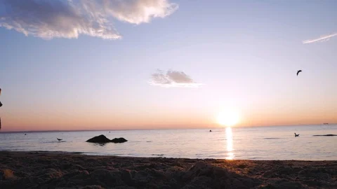 Male runner on the beach Stock Footage 92463721