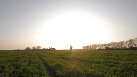 Male runner in green field Stock Footage 88414010