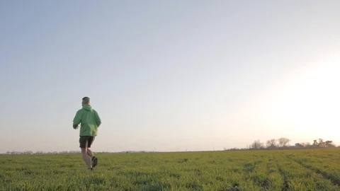 Male runner in green field Stock-Footage 88414324