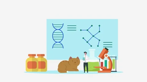 Male scientist doing experiment with cat in lab 库存影片 164655891