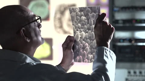 Male Scientist looking at transparency Video stock 41612528