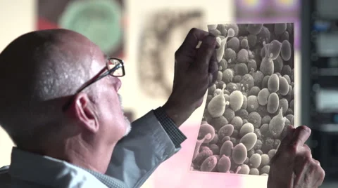 Male Scientist looking at transparency - macro pan Stock Footage 41612661
