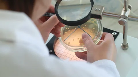 Male scientist working in with microscope Video stock 42601775