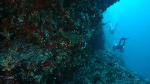 Male scuba diverы swims next a coral reef Stock Footage