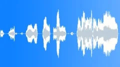 Male: shout, panic, fear Sound Effect