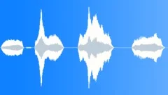Male: shouts, fear, panicSound Effect