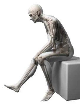 Male skeleton, artwork Stock Illustration