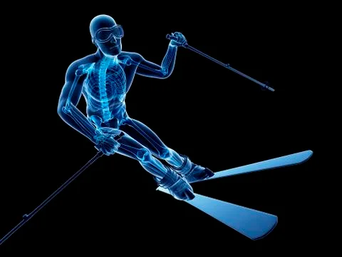 Male skeleton, artwork Stock Illustration