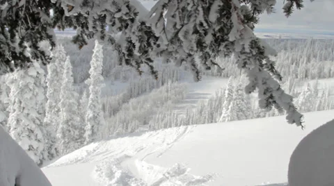 A male skier does a 360 off of a small jump Stock Footage 36294407