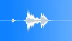 Male Sneeze Sound Effect