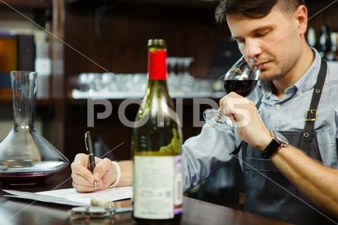 Male sommelier tasting red wine and making notes at bar counter Stock Photos