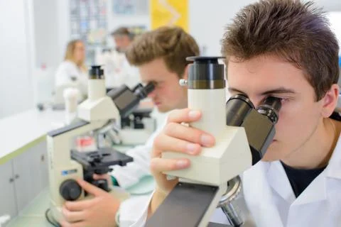 Male student looking into microscope Stock Photos