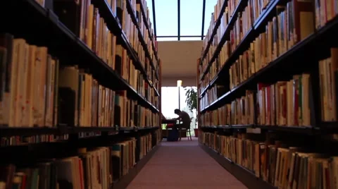 Male Student Studying in Library - Extreme Wide Stock Footage 41663756