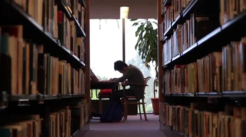 Male Student Studying in Library - Wide Stock Footage 41663757