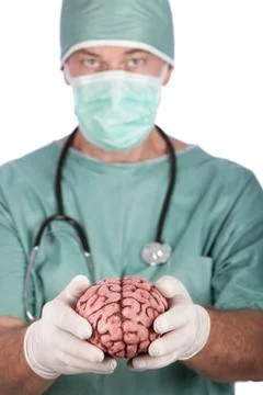 Male Surgeon Holding Brain Stock Photos