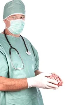 Male Surgeon Holding Brain Stock Photos