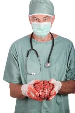 Male Surgeon Holding Brain Stock Photos