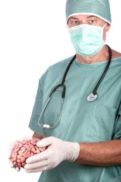 Male Surgeon Holding Brain Stock Photos