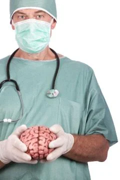 Male Surgeon Holding Brain Stock Photos