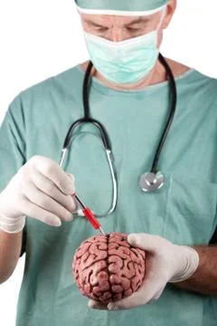 Male Surgeon Holding Brain Stock Photos