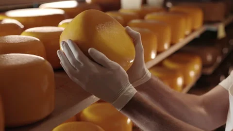 Man is a cheese maker in the process of producing different varieties of  cheese in the industry. Milk cheese making Stock Photo