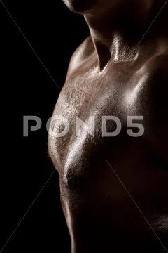 Male torso Stock Photos