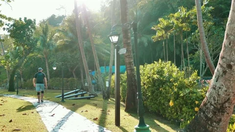 Male tourist enjoying a peaceful walk in a resort garden 库存影片 247057504