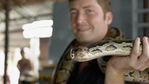 Male tourist has a python wrapped around his neck in Vietnam. Stock Footage 115686181