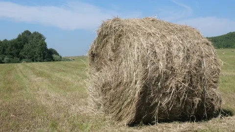 A male tourist is standing next to a haystack and talking on the phone Stock Footage 135457939