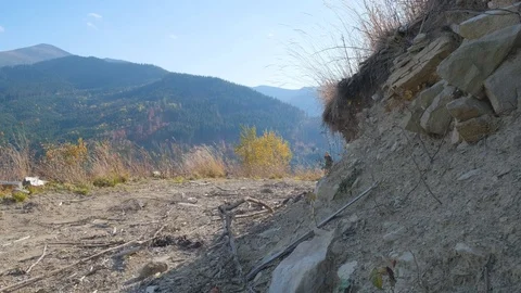 Male trail runner Stock Footage 121315665