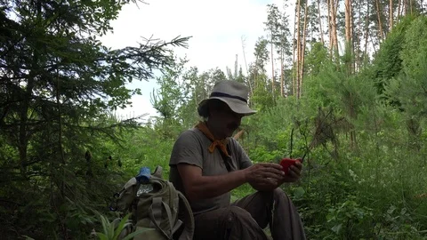 Male traveler in hat on edge of forest video call from mobile phone Stock Footage