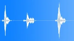 Male voice - Bullshit!Sound Effect