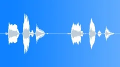 Male voice: don't touch that! - rude Sound Effect