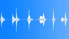 Male voice - nice! Sound Effect