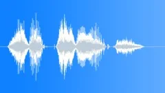 Male Voice, Saying „Success!“, Young Adult, V5 Sound Effect