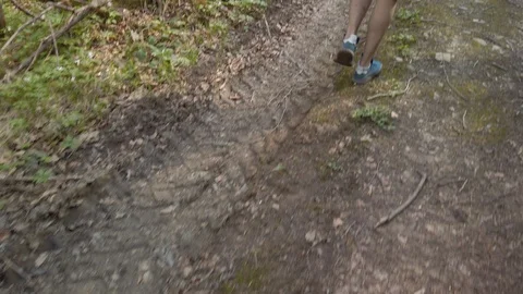 Male walking at forest using smartphone for navigation stops and exploring area Stock Footage 129755443